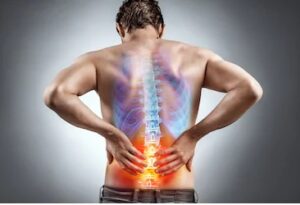 What Organs Can Cause Lower Back Pain?